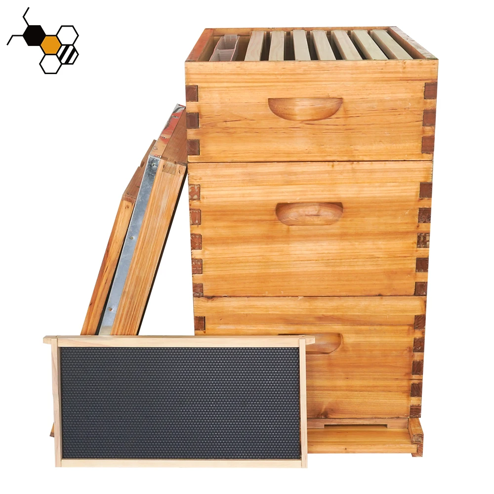 Beekeeping 2/3 Layers 10 Frame Langstroth Coated Honey Bee Hive