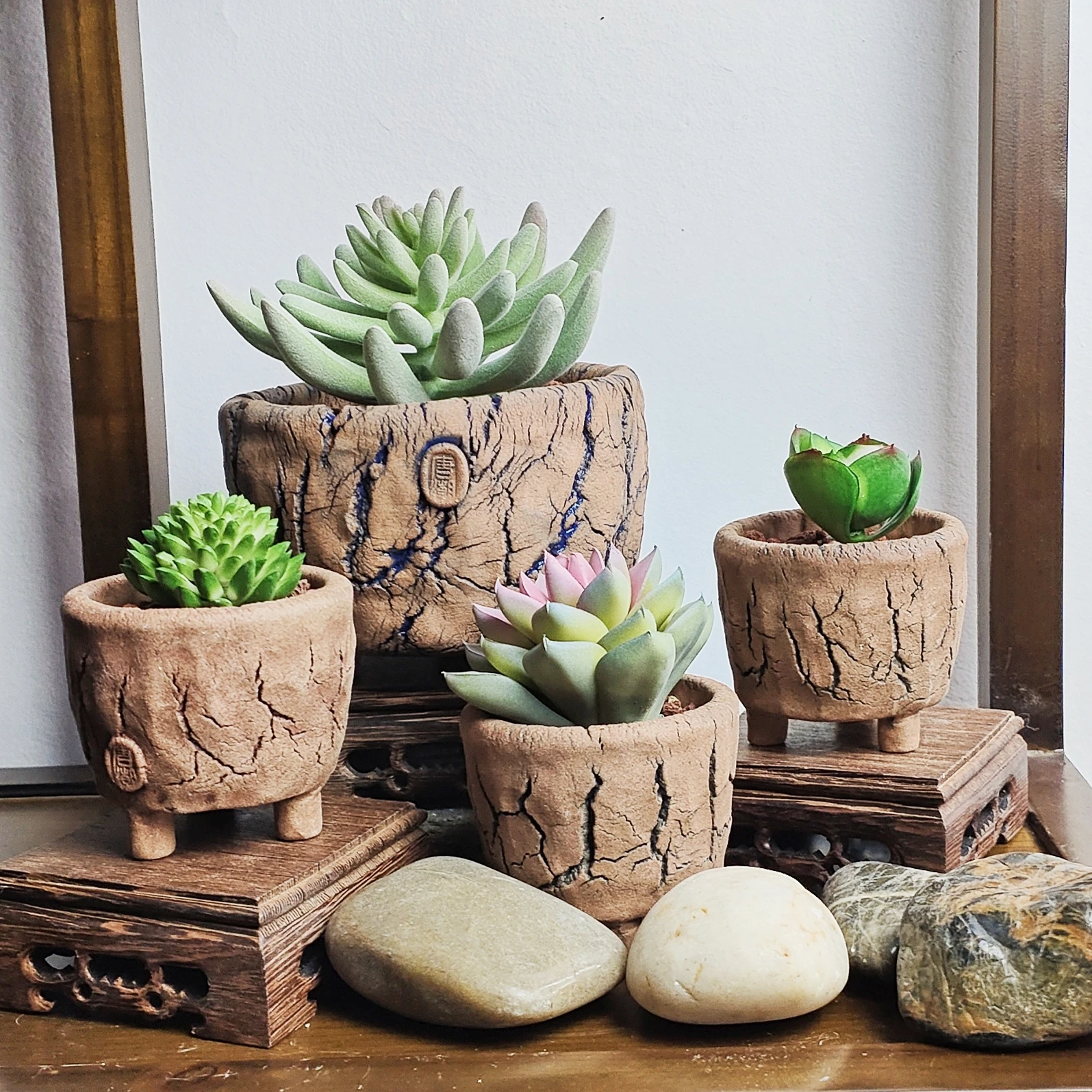 Wholesale Modern Home Garden Tabletop Decoration Succulent Pot Custom