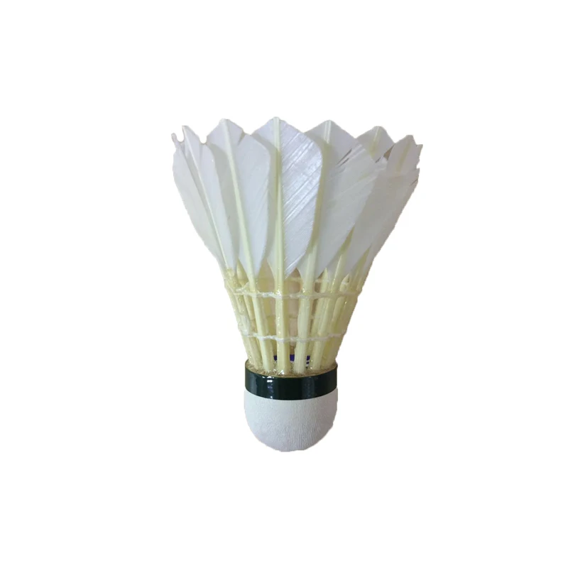 Shuttlecock 01.jpg