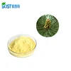 Wholesale Natural Broken Pine Pollen Powder Supplement