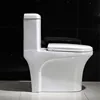 Design bathroom WC dual-flush Nepal toilet S-trap strong flush water closet one piece siphonic toilet for hotel