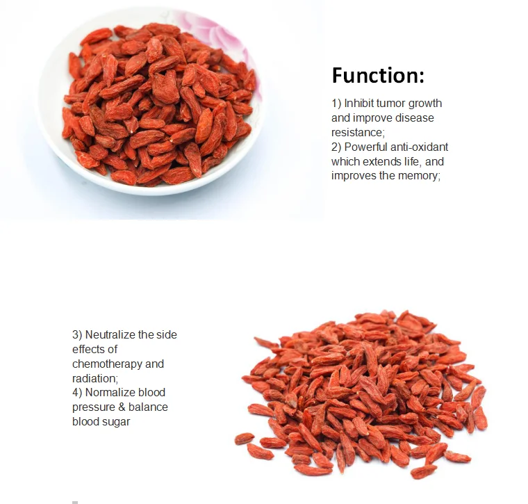 Goji Berry Bulk Dried Goji Berry For Sale Goji Berries - Buy Goji ...