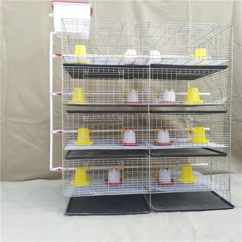 Poultry Farm Baby Chick Brooder Cage Day Old Chicken Cage Battery