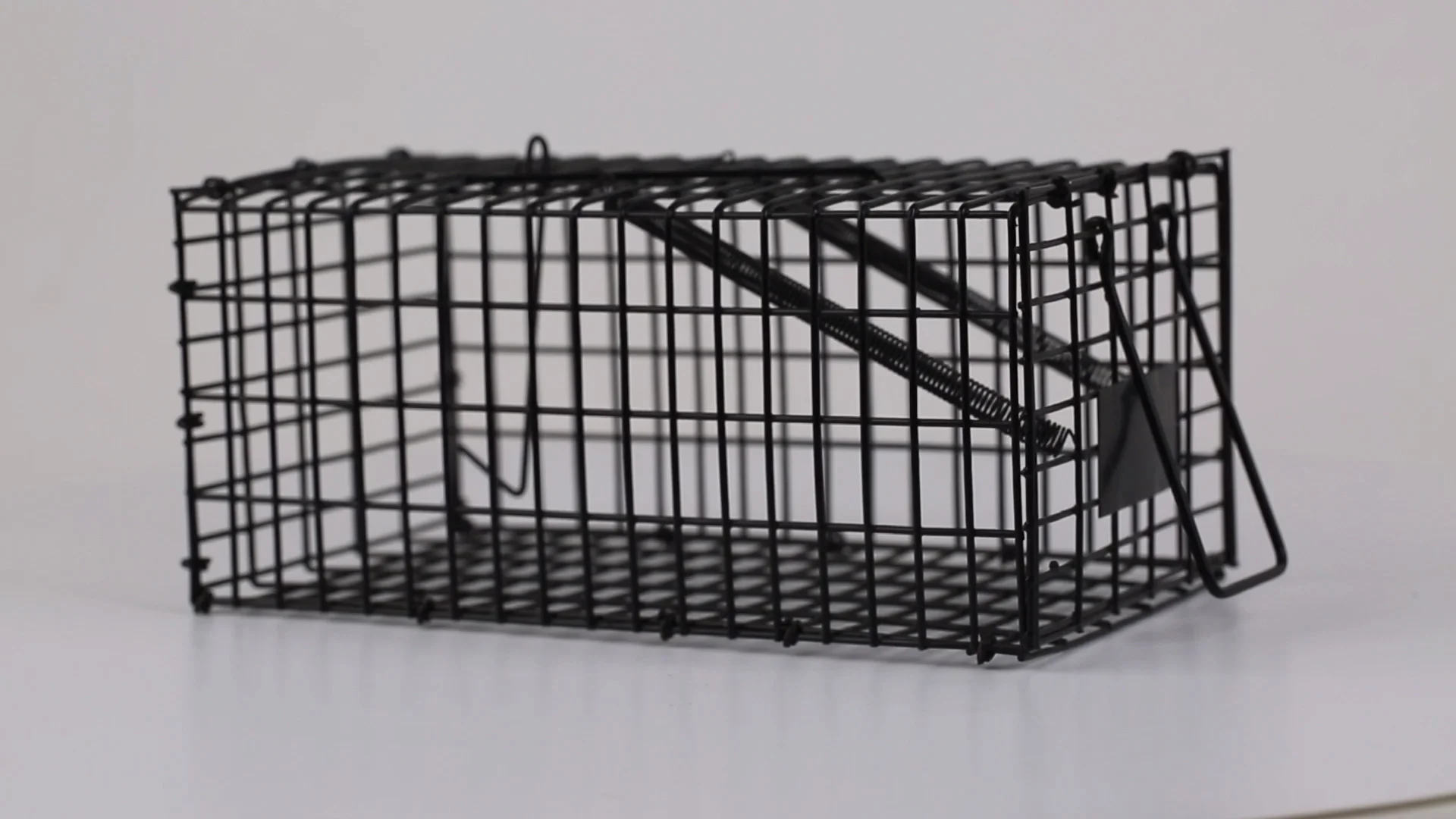 Top Enter Wire Mesh Rat Trap Cage Mouse Trap Cage Buy Stainless Steel