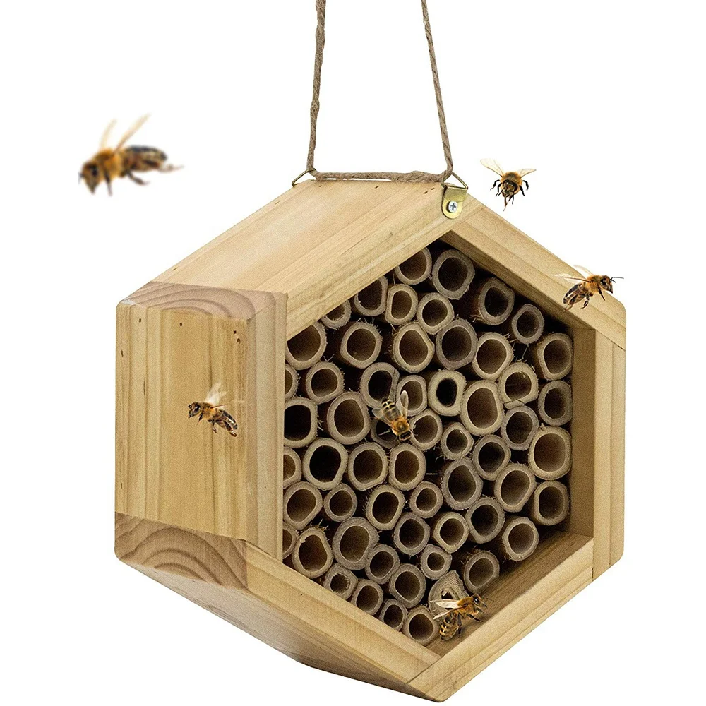 Mason Bee House,Handmade Natural Bamboo Bee Hive Buy Bee House,Mason