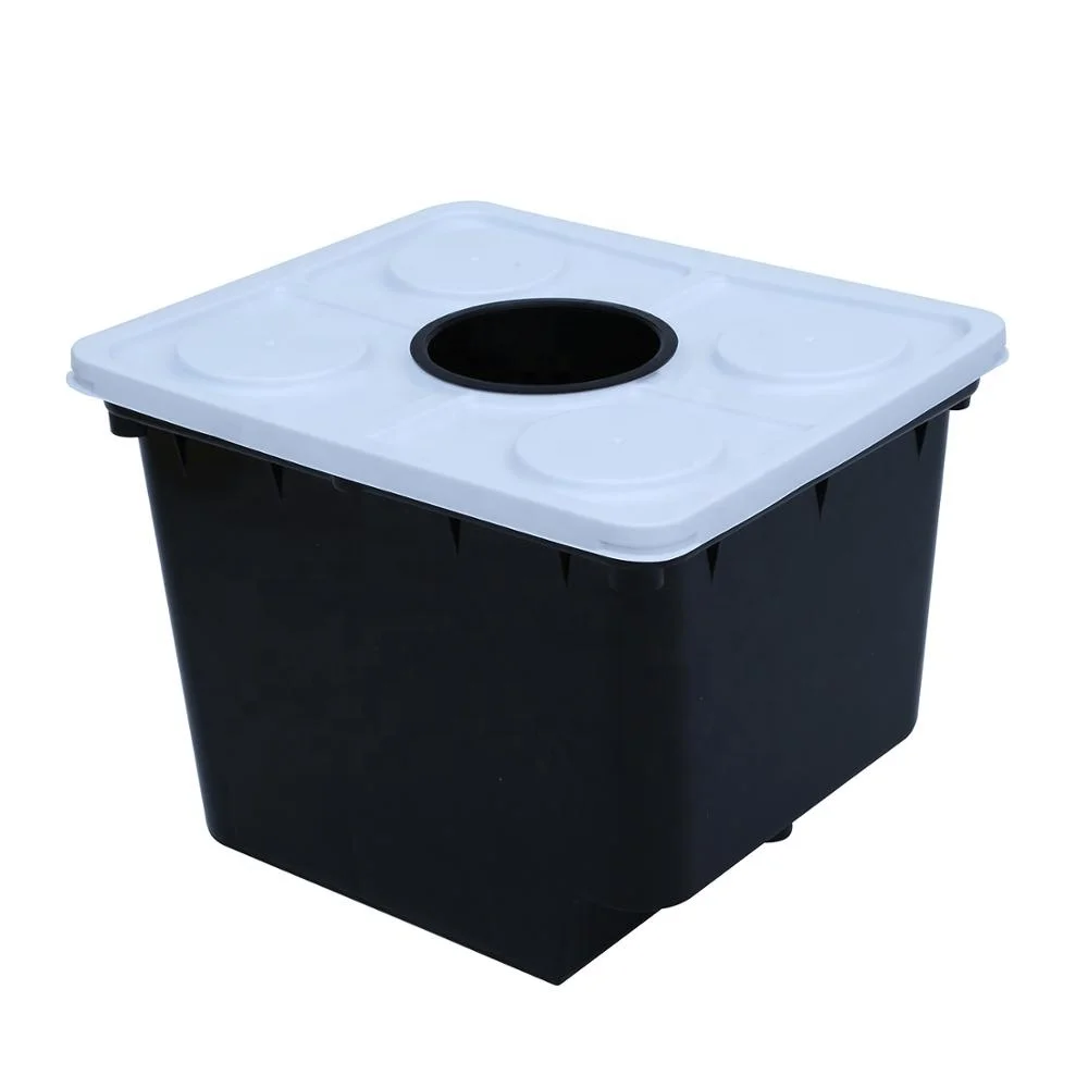 dutch bucket system