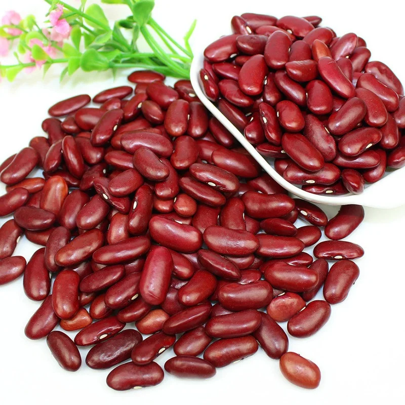 hot sale chinese new crop dry red kidney beans wholesale cheaper