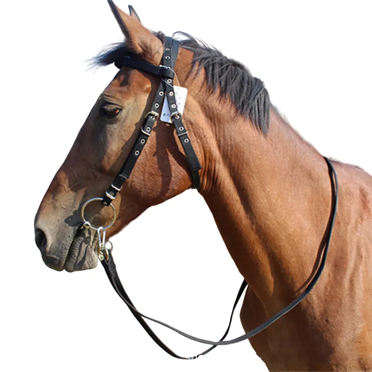 Horse Equipment Products Size Short Horse Reins Harness Equipment
