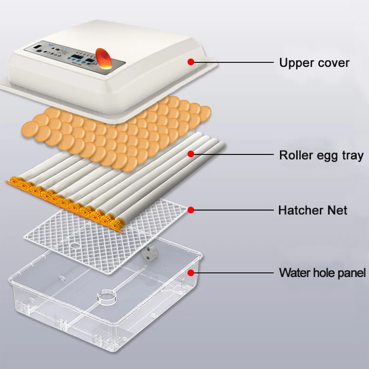42egg incubator-14.jpg