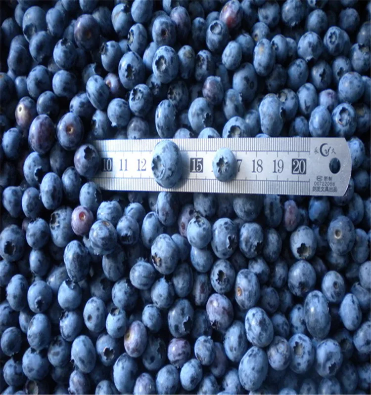 frozen blueberries.jpg