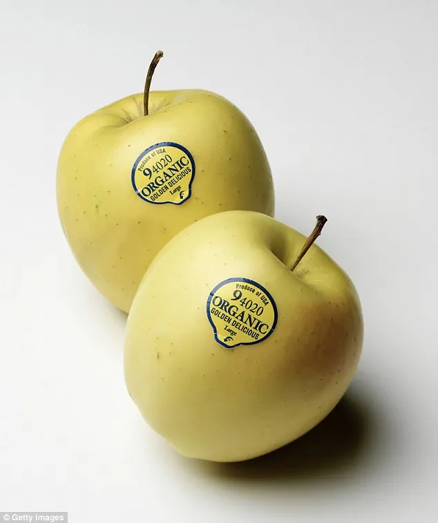 fruit label.jpg