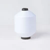 20D 30D 40D 50D 85D SD NIM RW White Nylon 6 Filament Yarn DTY Good Crimp Rigidity for Core-spun Yarn