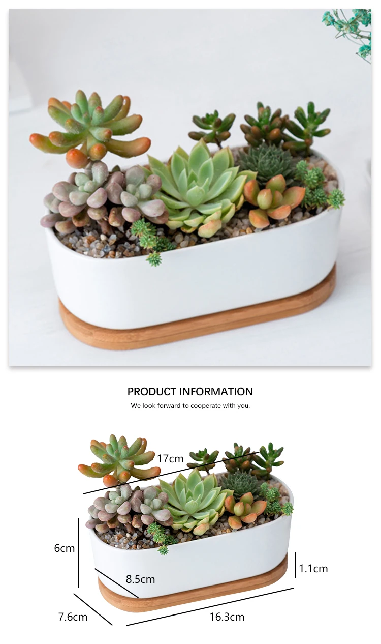 Flower Planter Pot Succulent Cactus Oval Ceramic With Bamboo Tray