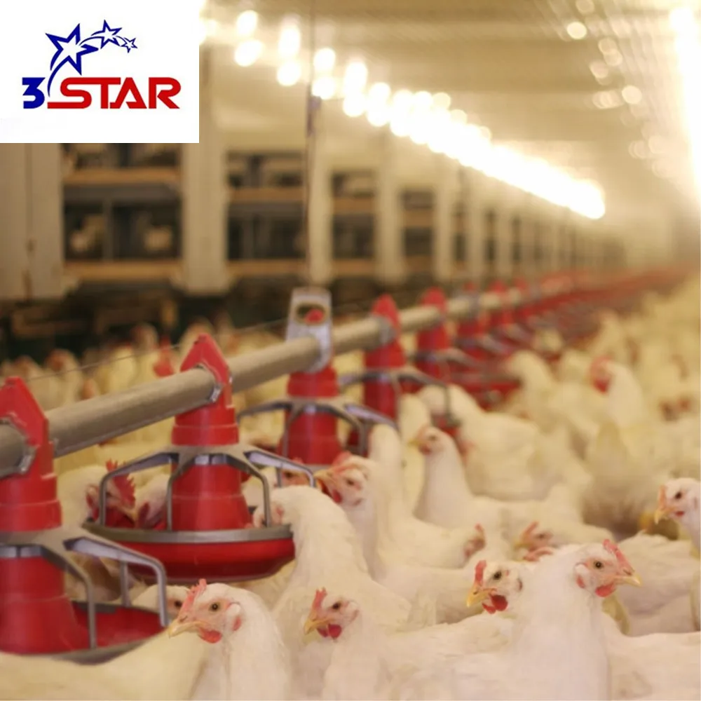 Chicken-Feeder