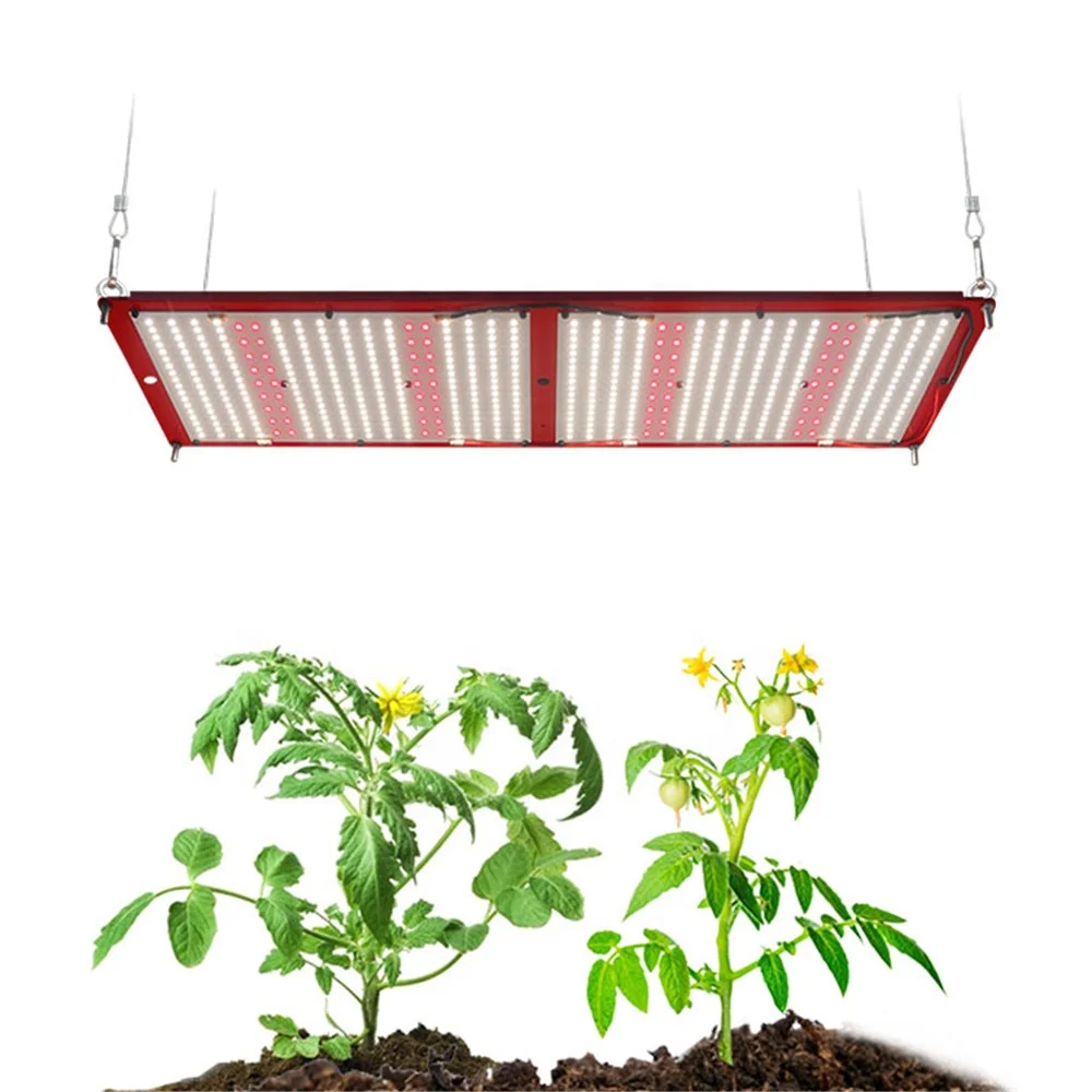 Fogrooo Amazon Top Sale, Timer Light Switch Aeroponic Indoor Growing System With Lights 240W QB288 V2 Led Grow Light/