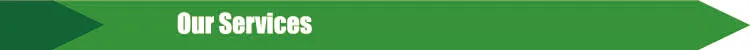 title-script-Our Services.jpg