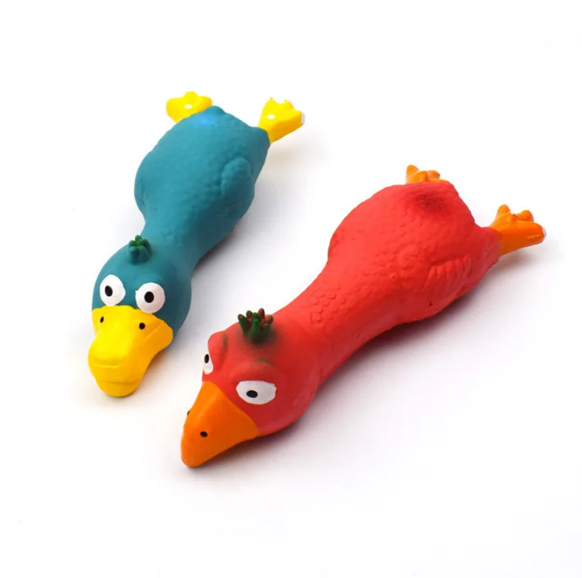 pet chicken toy-1.png