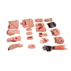 Advanced trauma assessment module,Medical nursing model for open fractures of human body