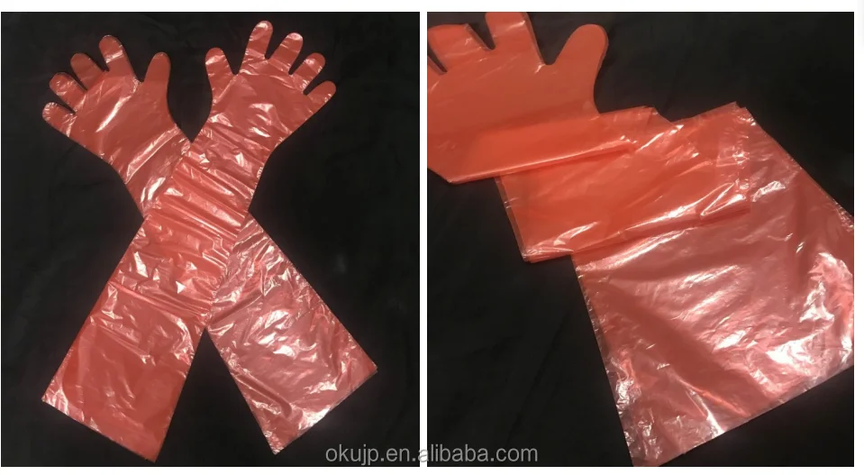 veterinary glove 1.png