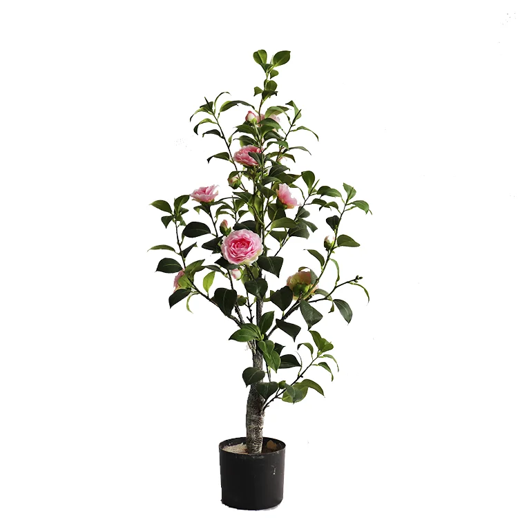 100cm Buscando Artificial Camelia Flor Árbol Con Olla Negro 5800 - Buy Árbol  De Flores De Camelia,Árbol De Camelia Artificial,Árbol De Camelia Con  Maceta Product on 