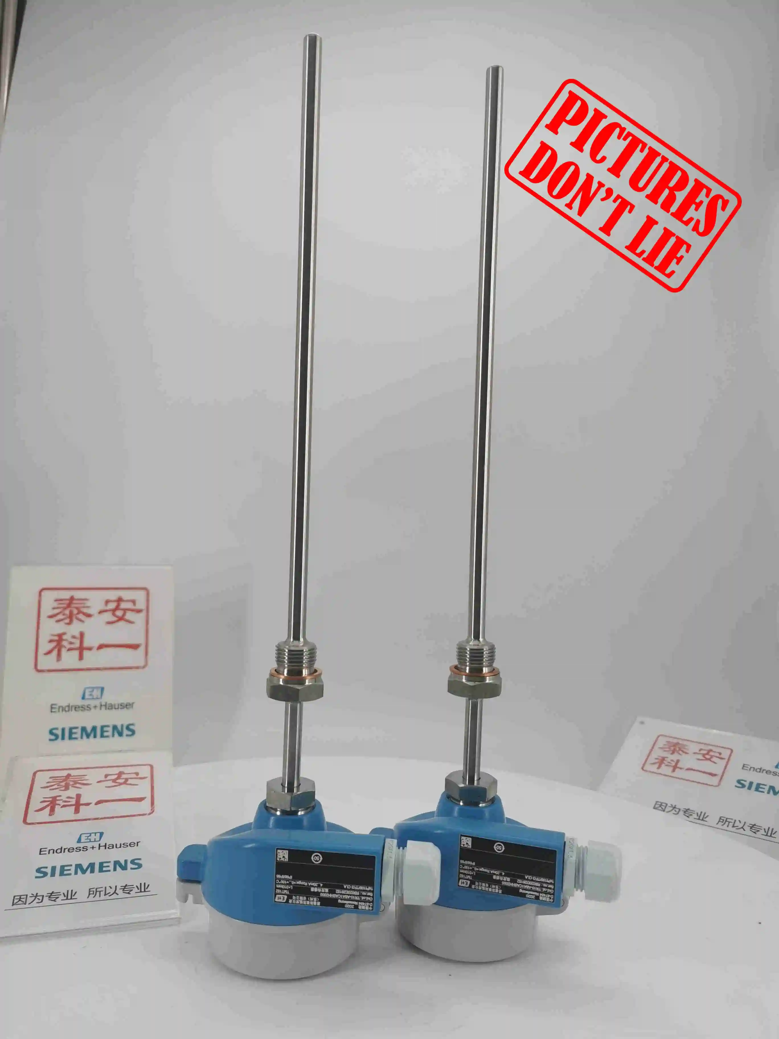 Endress+hauser Temperature( E+h) Explosionproof Pt100 Thermometer Tr10