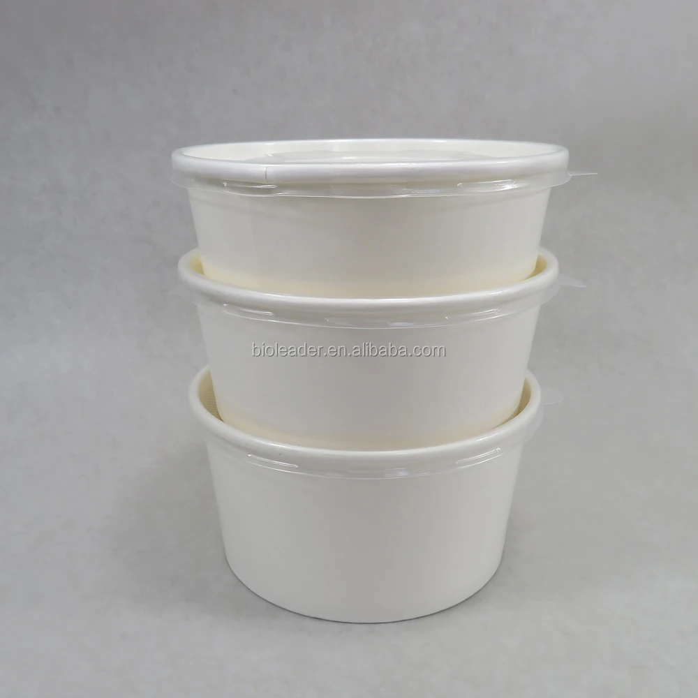 Paper Bowl 05