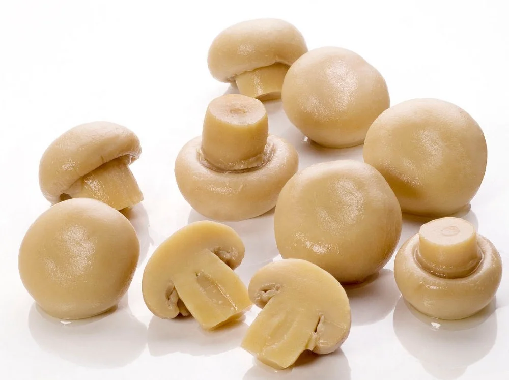 PNS King oyster mushroom in drums