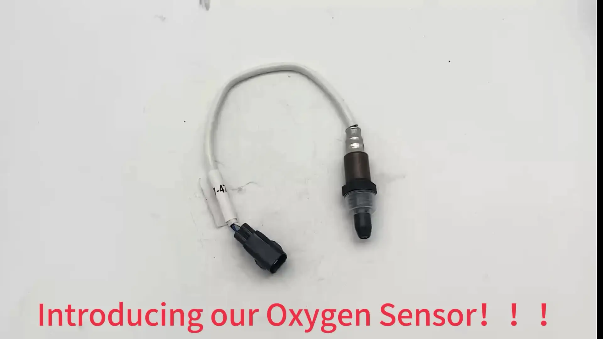 ё China Hitachi ZX250 ZX290 ZX350 Isuzu 4HK1 6HK1 Hino J05E Camshaft