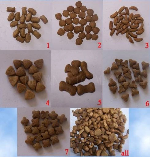 7 Shapes FYI_.jpg