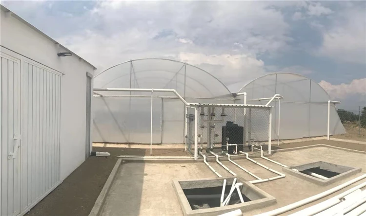 Mexican Full Automatic Recirculating Aquaculture System for Tilapia ...