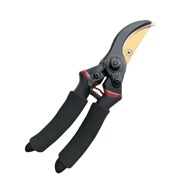 Sunshine Bypass Professional Garden Tool Pruner Getting Started Pruning