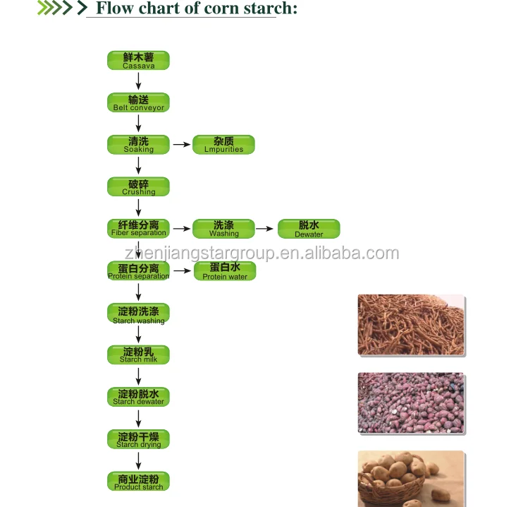 Cassava Starch Producing  