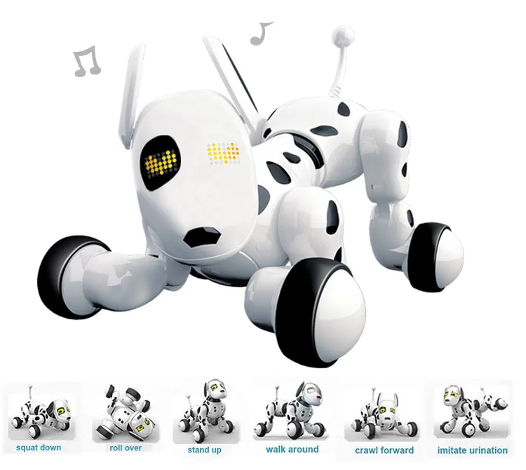 programming stunt smart dog