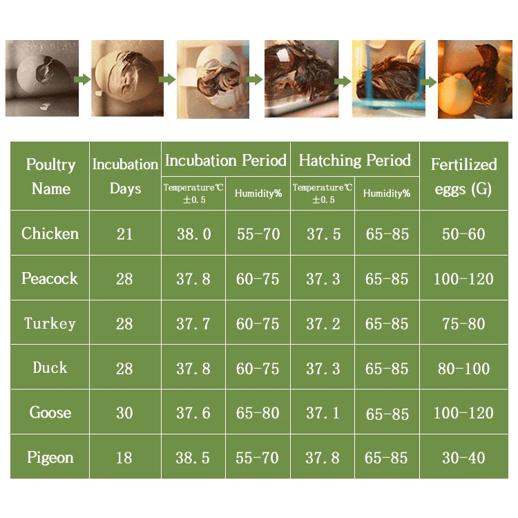 96 egg incubator-26.jpg