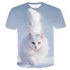 2019 New Kawai 3D Cute Cat Picture T Shirt White T-shirts Plain for Printing T-shirts Wholesale and Retail