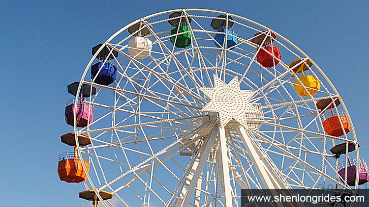 30mferris-wheel-case2