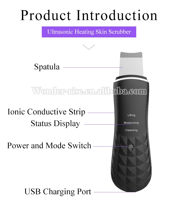 Introduction.jpg