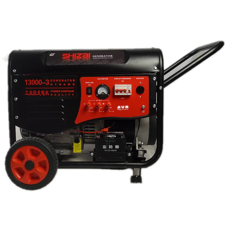 Generator Head 10000w 10kw 10kva Gasoline Generator Buy Inverter Generator,Inverter Generator