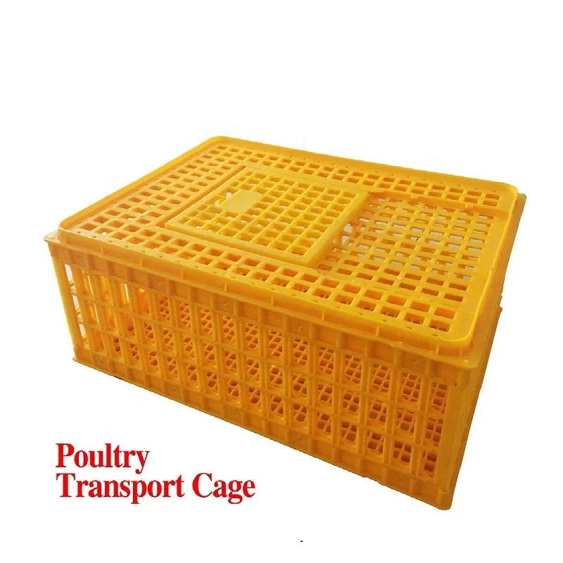 chick transport basket.jpg