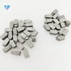 Zhuzhou Iso Manufacturer Factory Wholesale High Quality Yg8 Tungsten Tips P30 Carbide Insert A312 C120