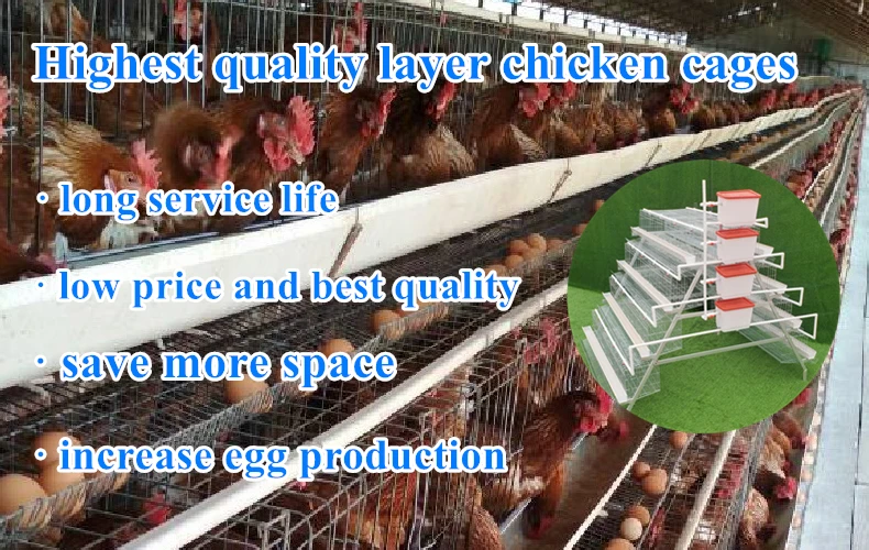 Welded Wire Mesh Egg Layer Chicken Cage Used For Hens Buy Chicken