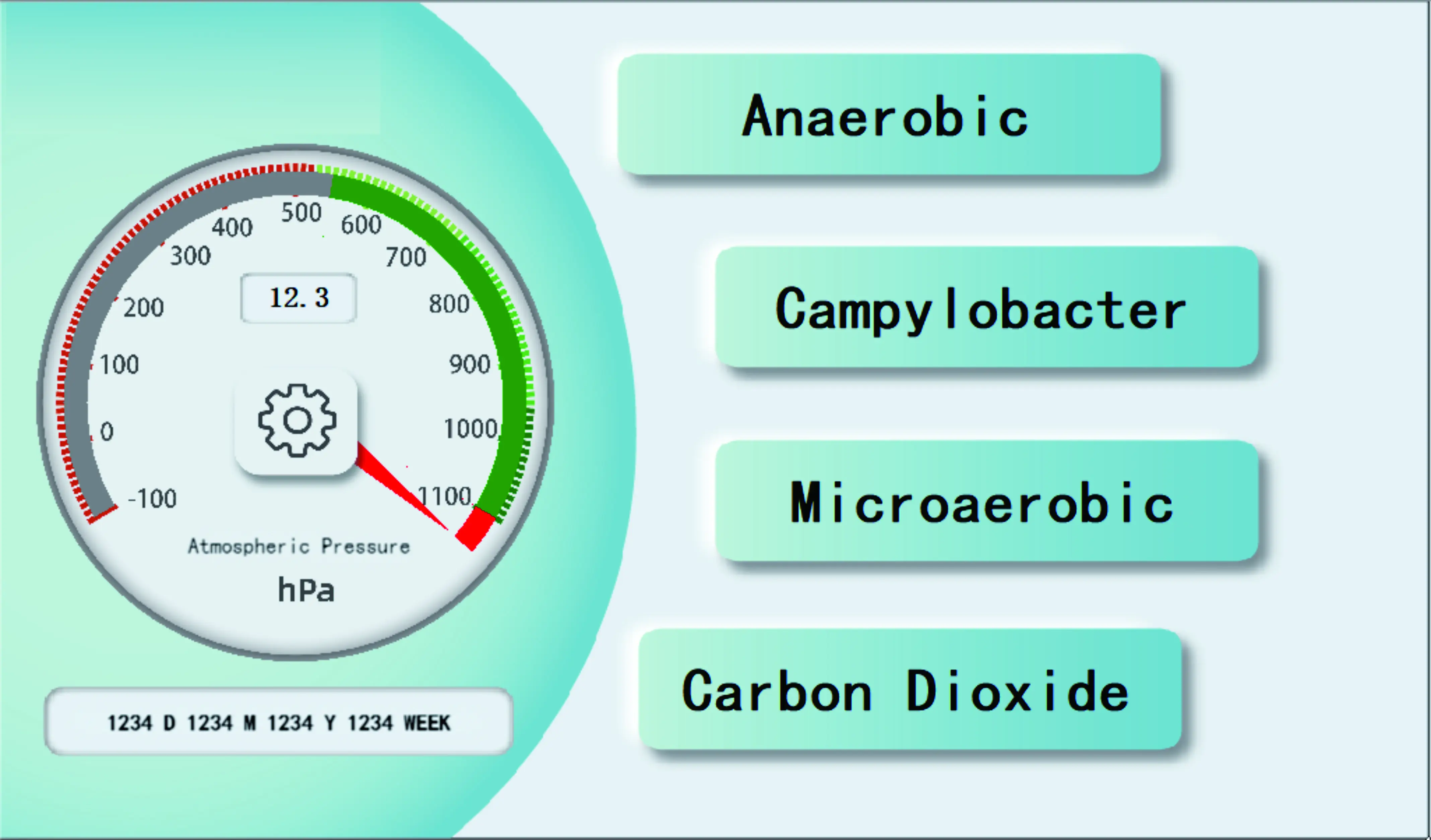 Pot Anaérobie (fermenteur) De Capacité 3,5 Litres - Marque AjantaExport - Certifié ISO/CE/WHO-GMP - Pour Fabrication De Produits Biologiques