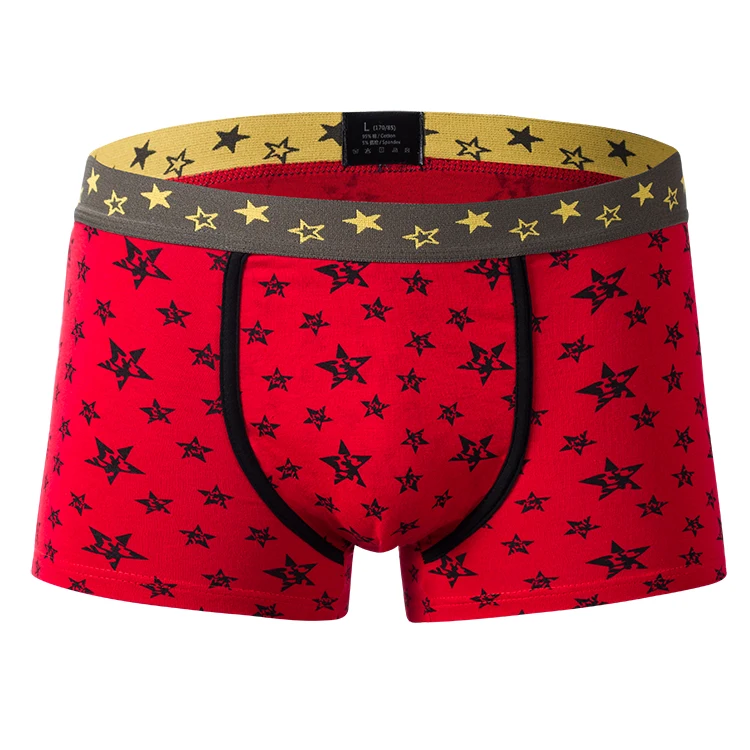 棉男孩 tanga 内裤照片性感男士内裤