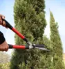 Heavy Garden Tool Hand Pruning Grass Hedge Shears Trimmer