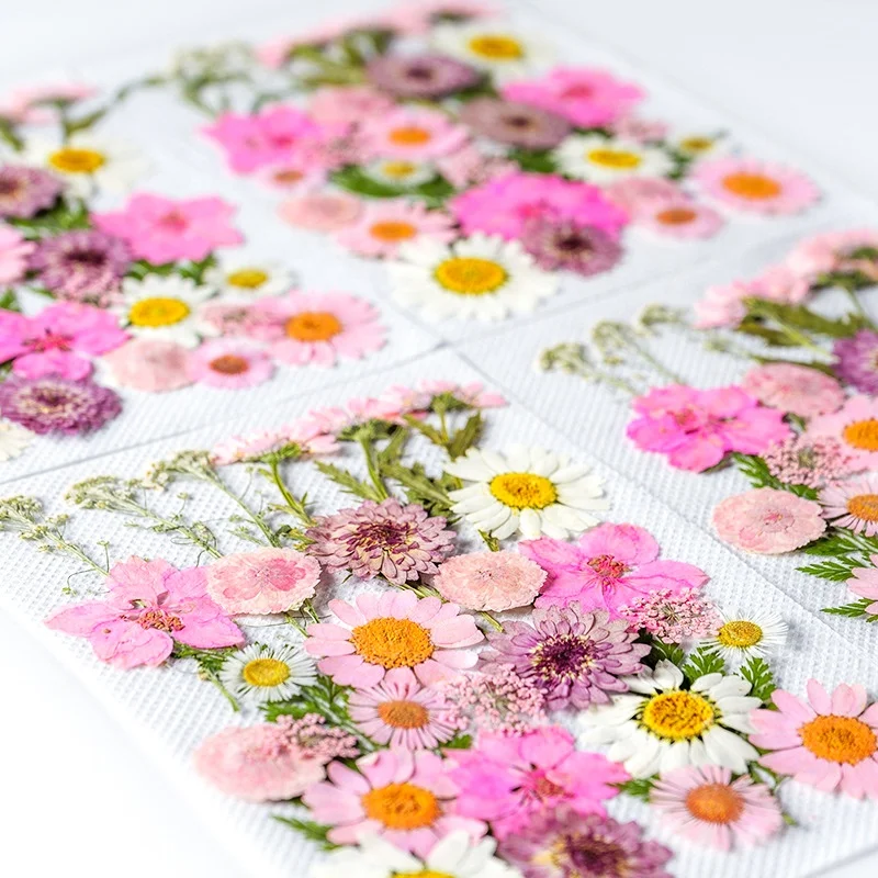 Zs027 Pressed Dried Flowers Diy Resin Soap Candle Making Colorful Dry