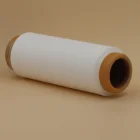 70D/24F DTY Filament SD Nylon 66/Nylon 6 Twisted Yarn Polyamide Textured Yarn