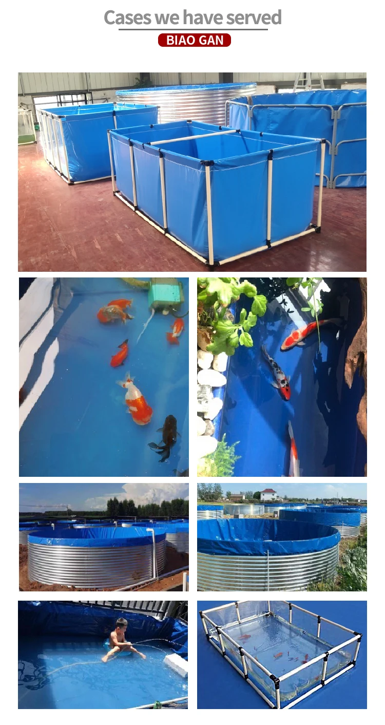 10000 Gallon Pvc Tilapia Farming In Tanks Plastic Fish Rearing Tank