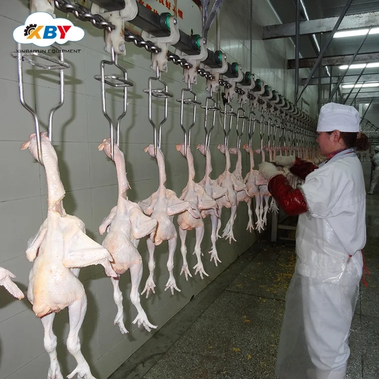 Halal Chickens Slaughter Processing Line Slaughterhouse Compact