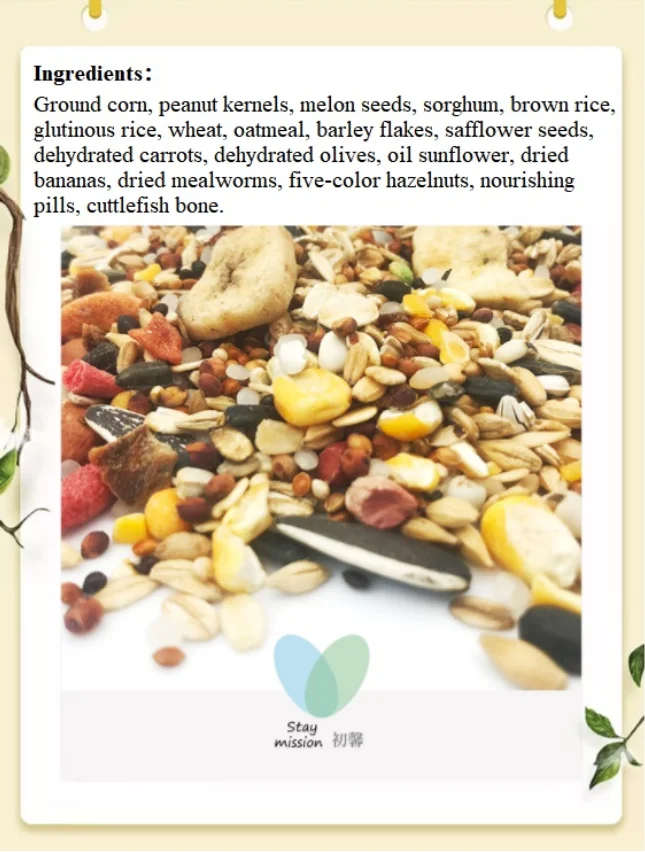 paste-pic-dp_uuid_xvzc7