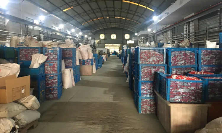 plastic chain factory (3)